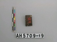 藏品(磨製石錛)的圖片